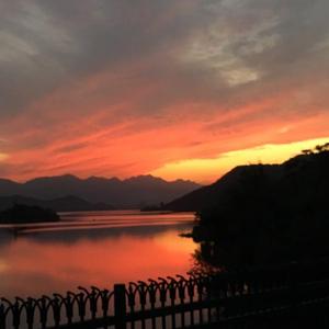 一区二区三区免费观看
